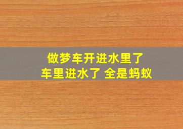 做梦车开进水里了 车里进水了 全是蚂蚁